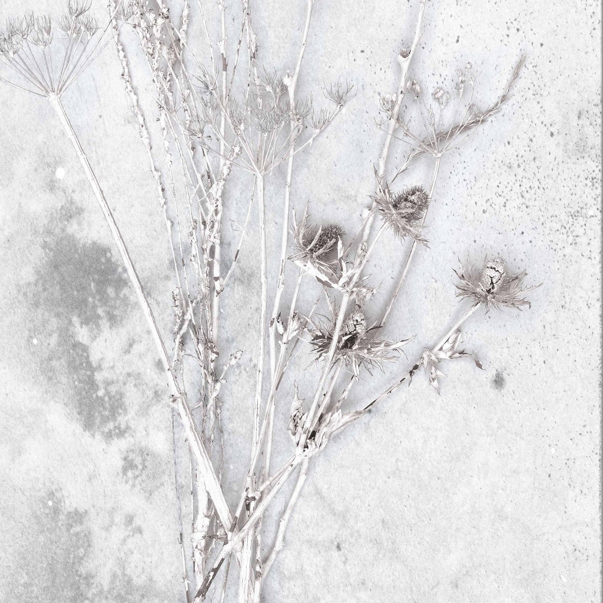Meraki Concrete Botanical Wallpaper