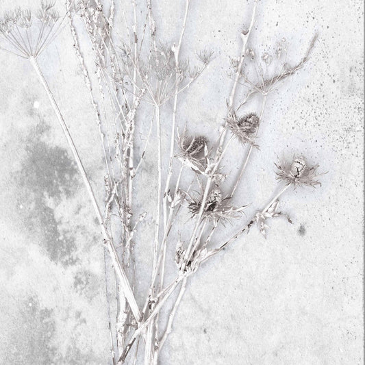 Meraki Concrete Botanical Wallpaper