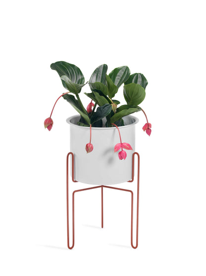 Meridius Planter-Contract Furniture Store for hospitality, leisure & commercial projects