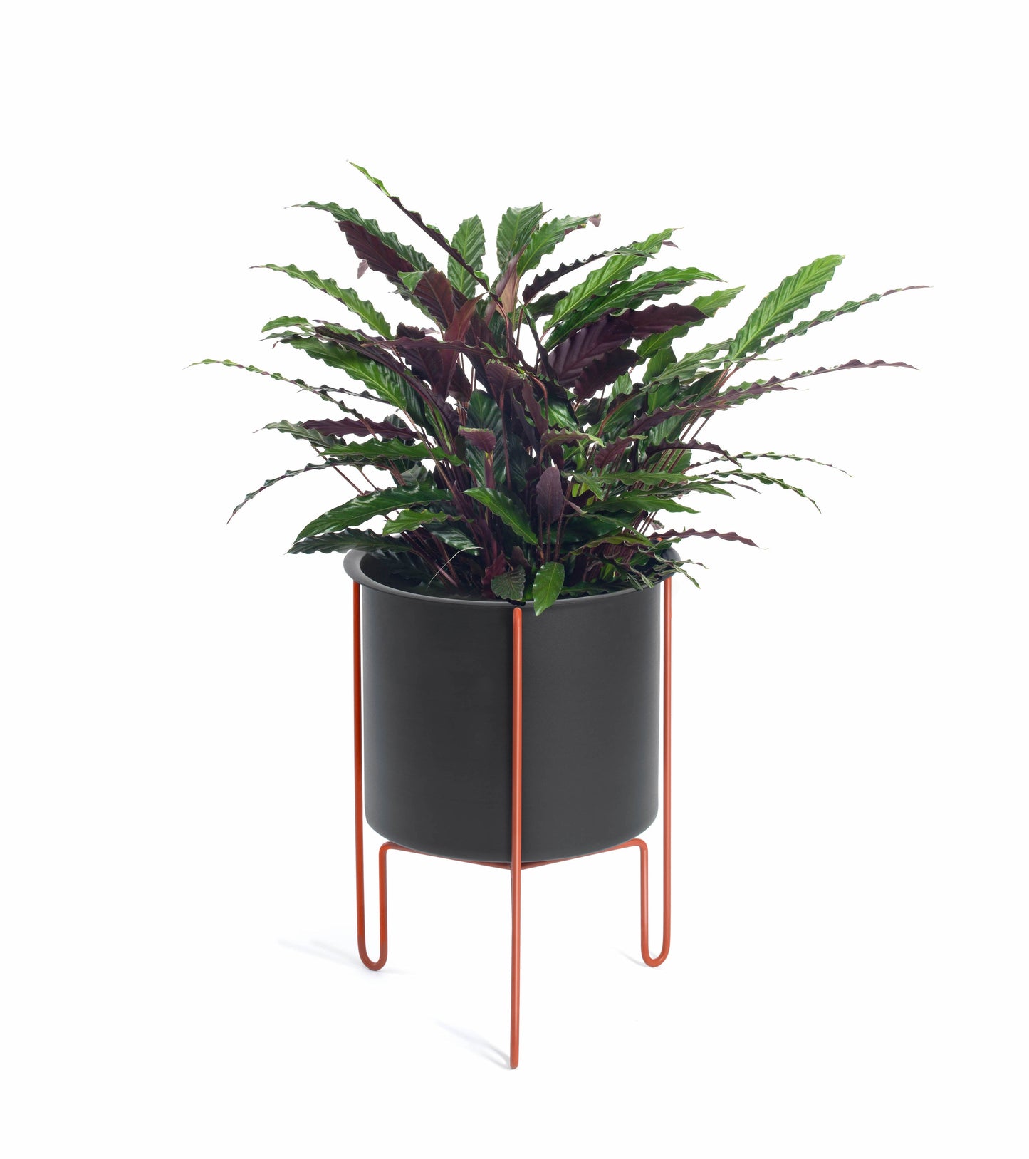 Meridius Planter-Contract Furniture Store for hospitality, leisure & commercial projects