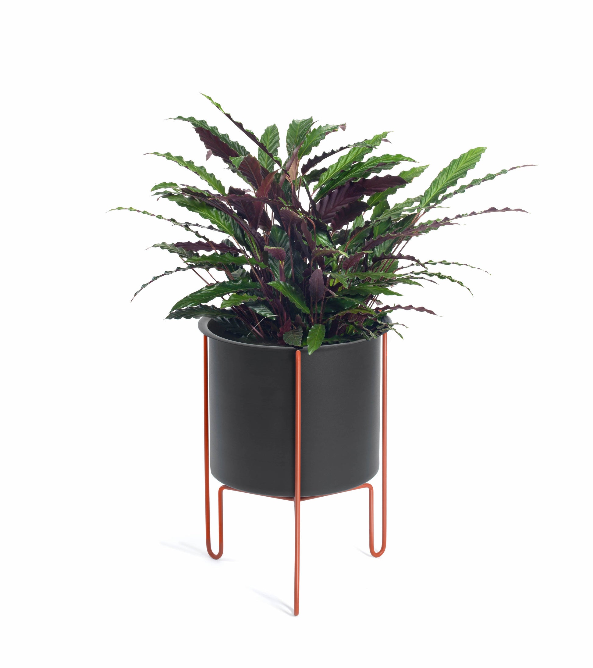 Meridius Planter-Contract Furniture Store for hospitality, leisure & commercial projects