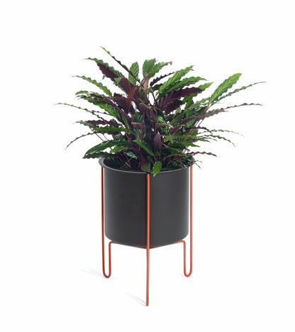 Meridius Planter-Contract Furniture Store for hospitality, leisure & commercial projects