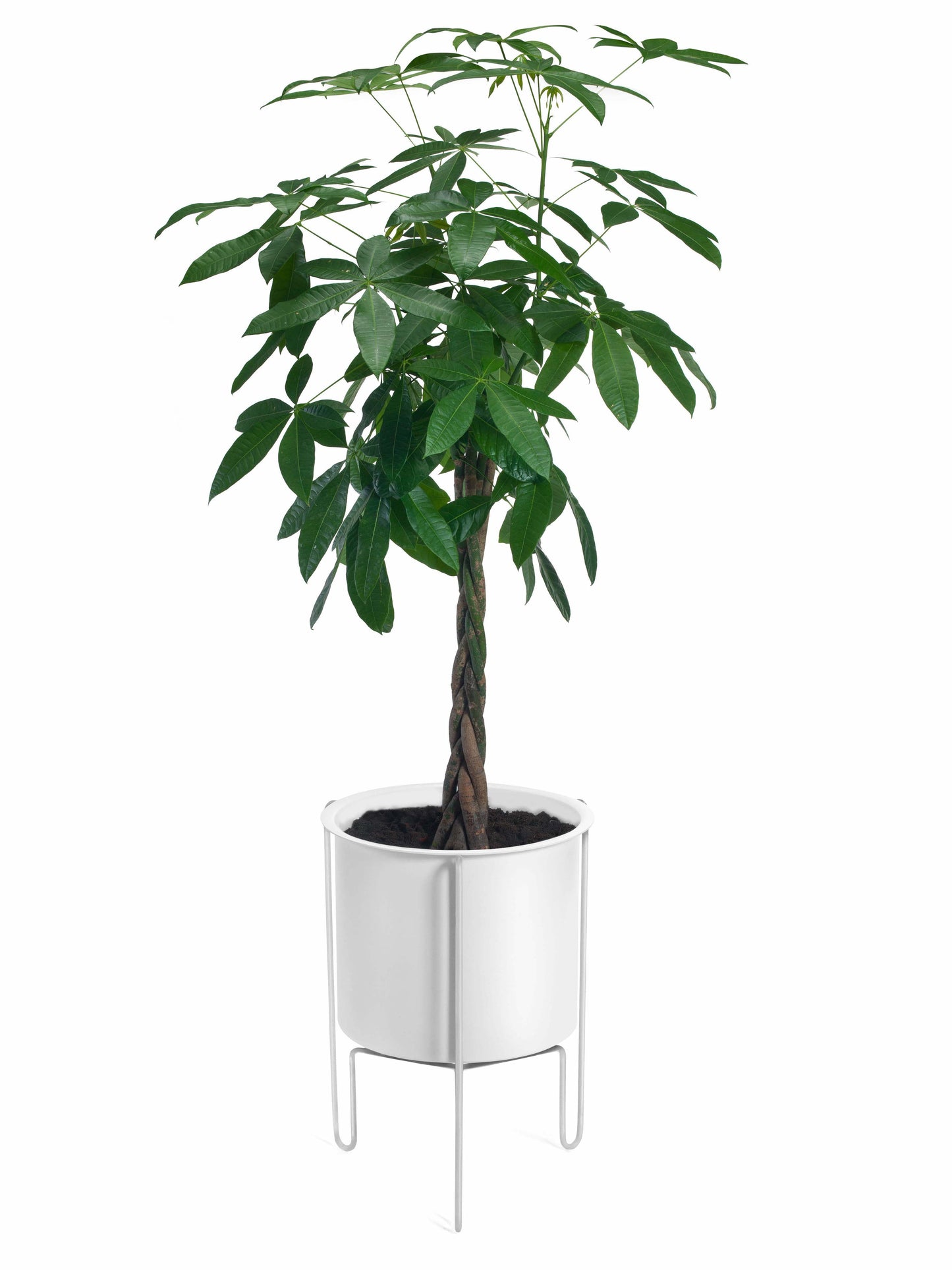 Meridius Planter-Contract Furniture Store for hospitality, leisure & commercial projects