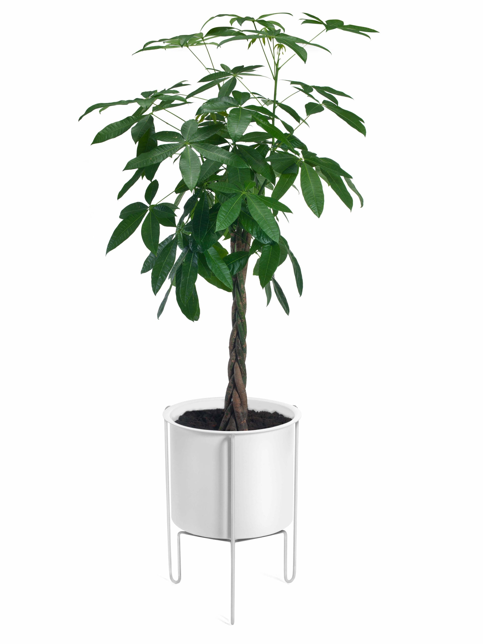 Meridius Planter-Contract Furniture Store for hospitality, leisure & commercial projects