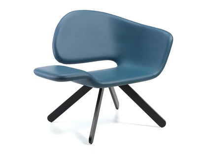 Nalì Lounge Chair-Contract Furniture Store for hospitality, leisure & commercial projects