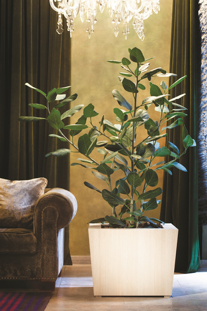 Natura Hydroplanter