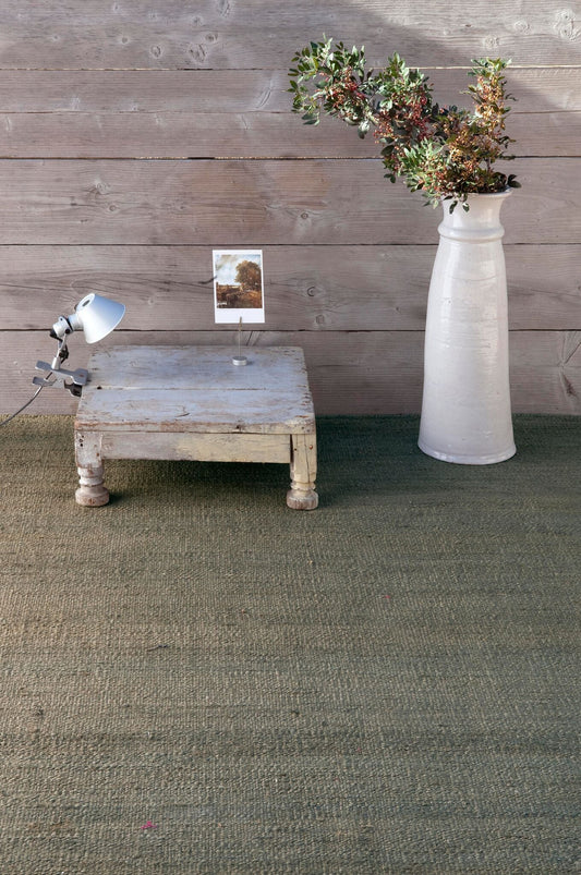 Natural Vegetal Greenish Grey Rug
