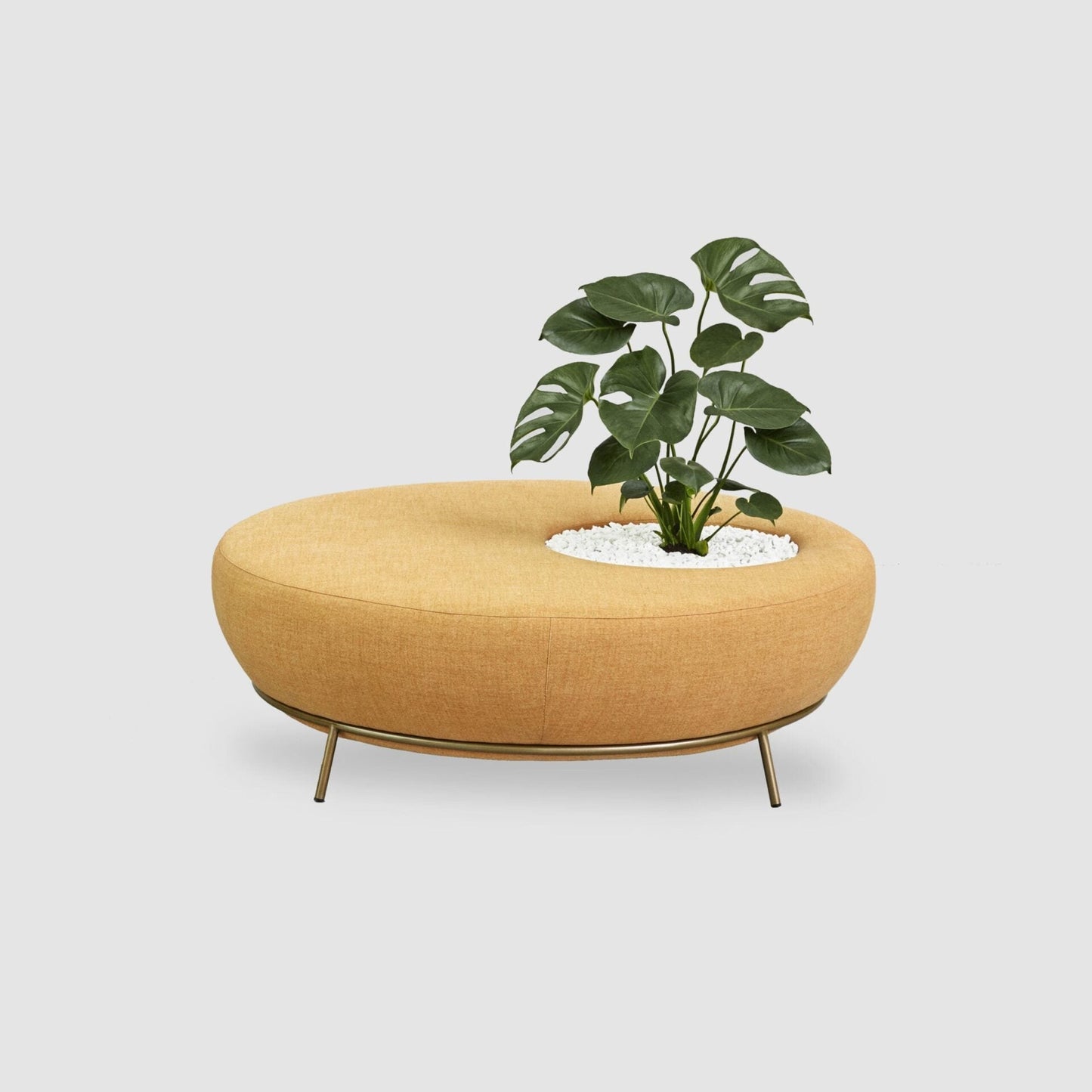 Nest Round Sofa with Plant