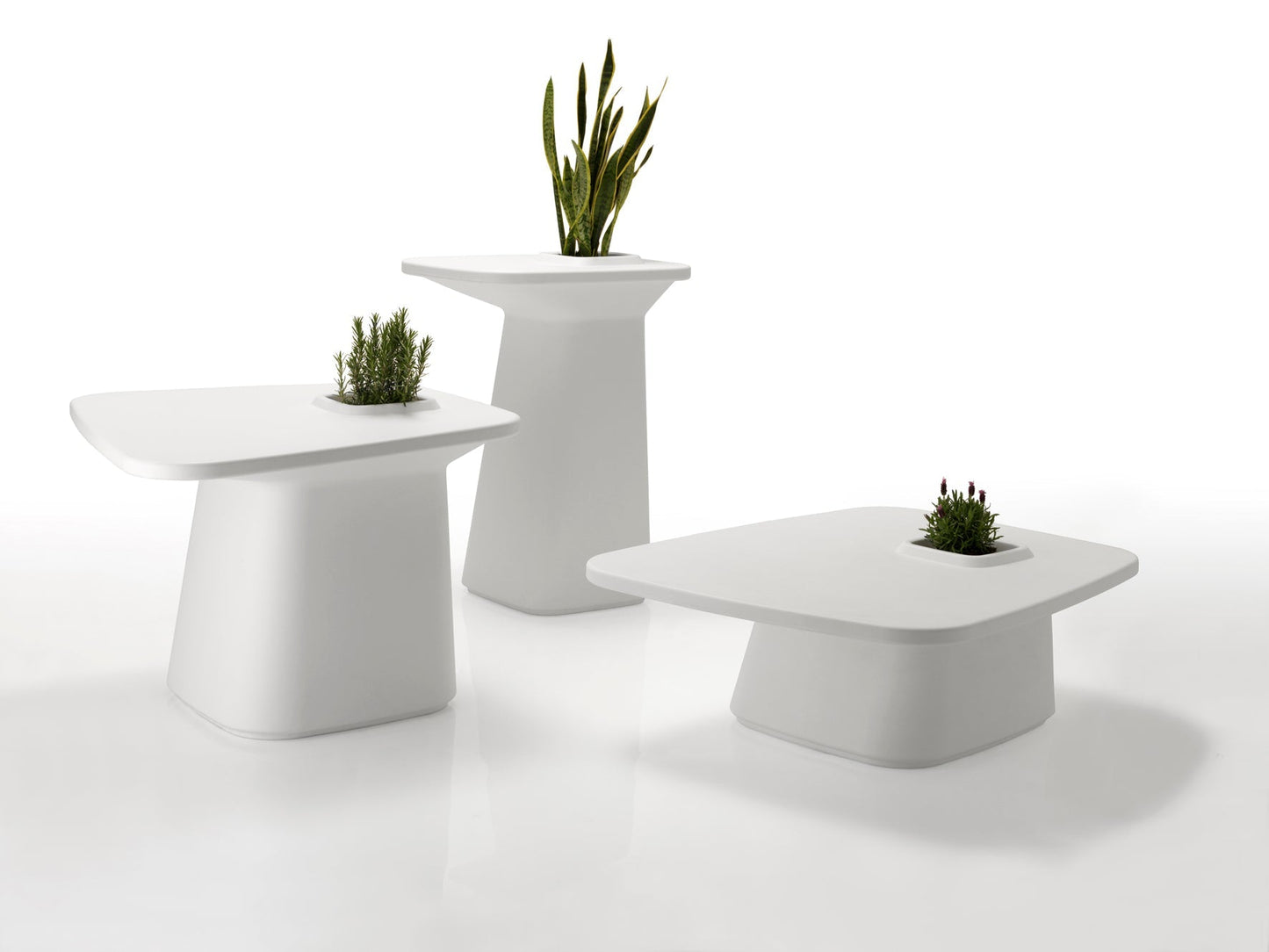 Noma Coffee Table