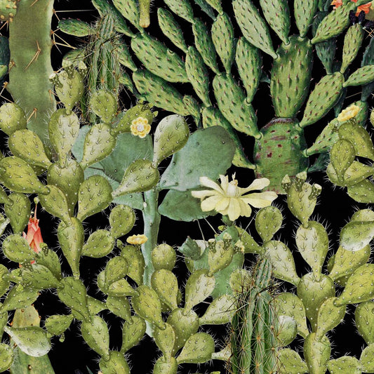 Opuntia Anthracite Wallpaper