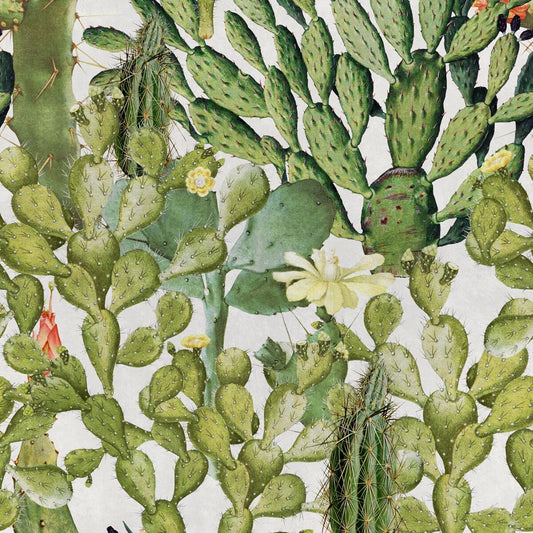 Opuntia Wallpaper