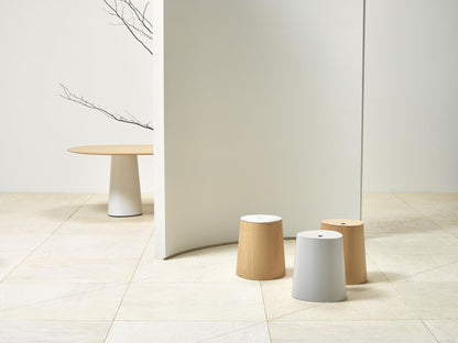 P.O.V. Stool