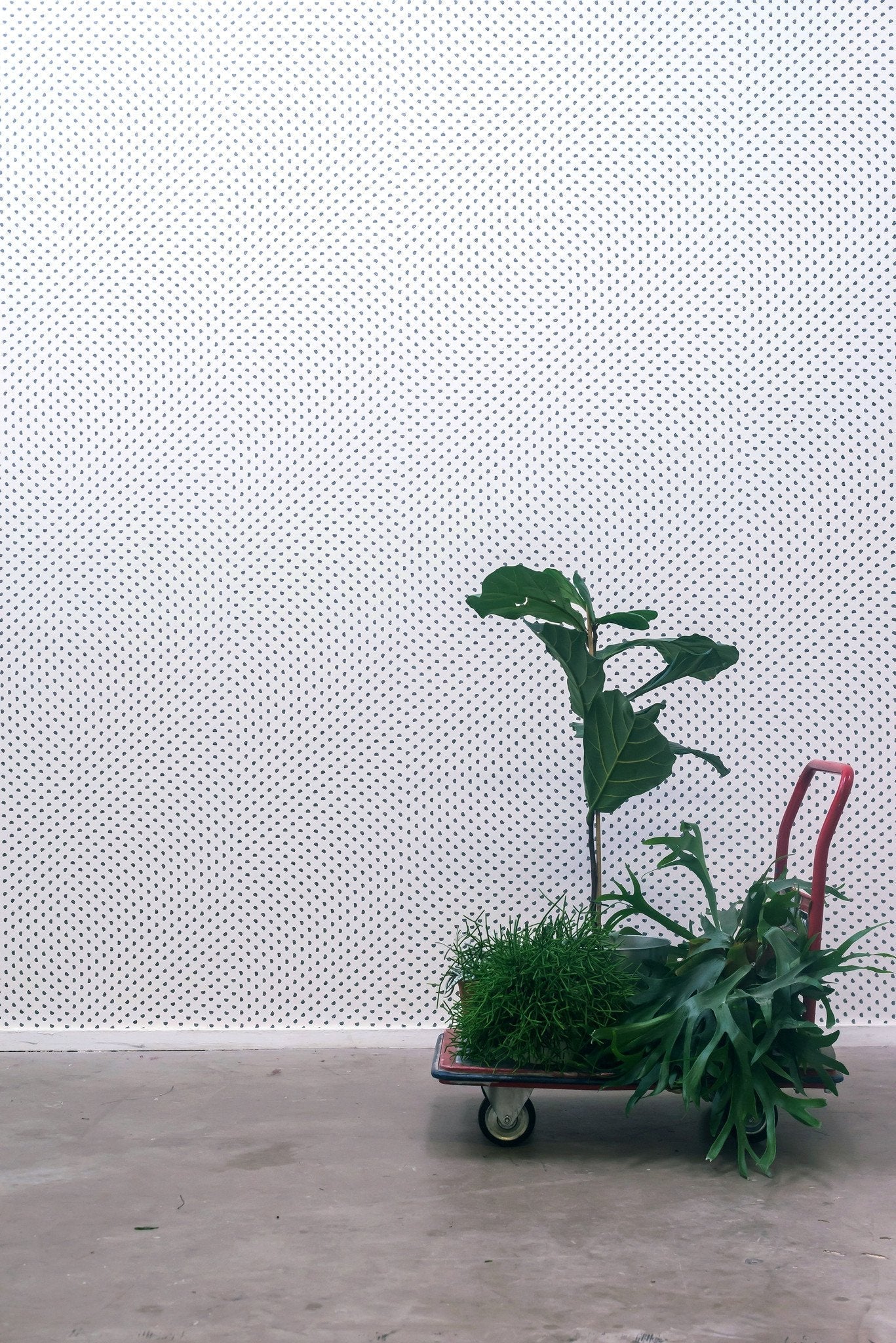 Particles Wallpaper-Contract Furniture Store for hospitality, leisure & commercial projects