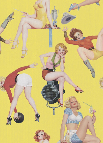 Pin-Up Girls Wallpaper-Contract Furniture Store for hospitality, leisure & commercial projects