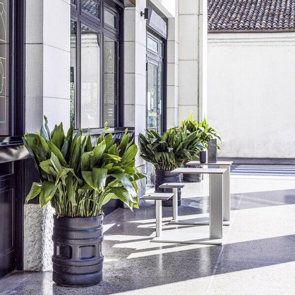 Plinto 24690 Sit & Eat-Contract Furniture Store for hospitality, leisure & commercial projects