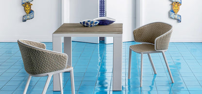 Pluvia Natwick Dining Armchair