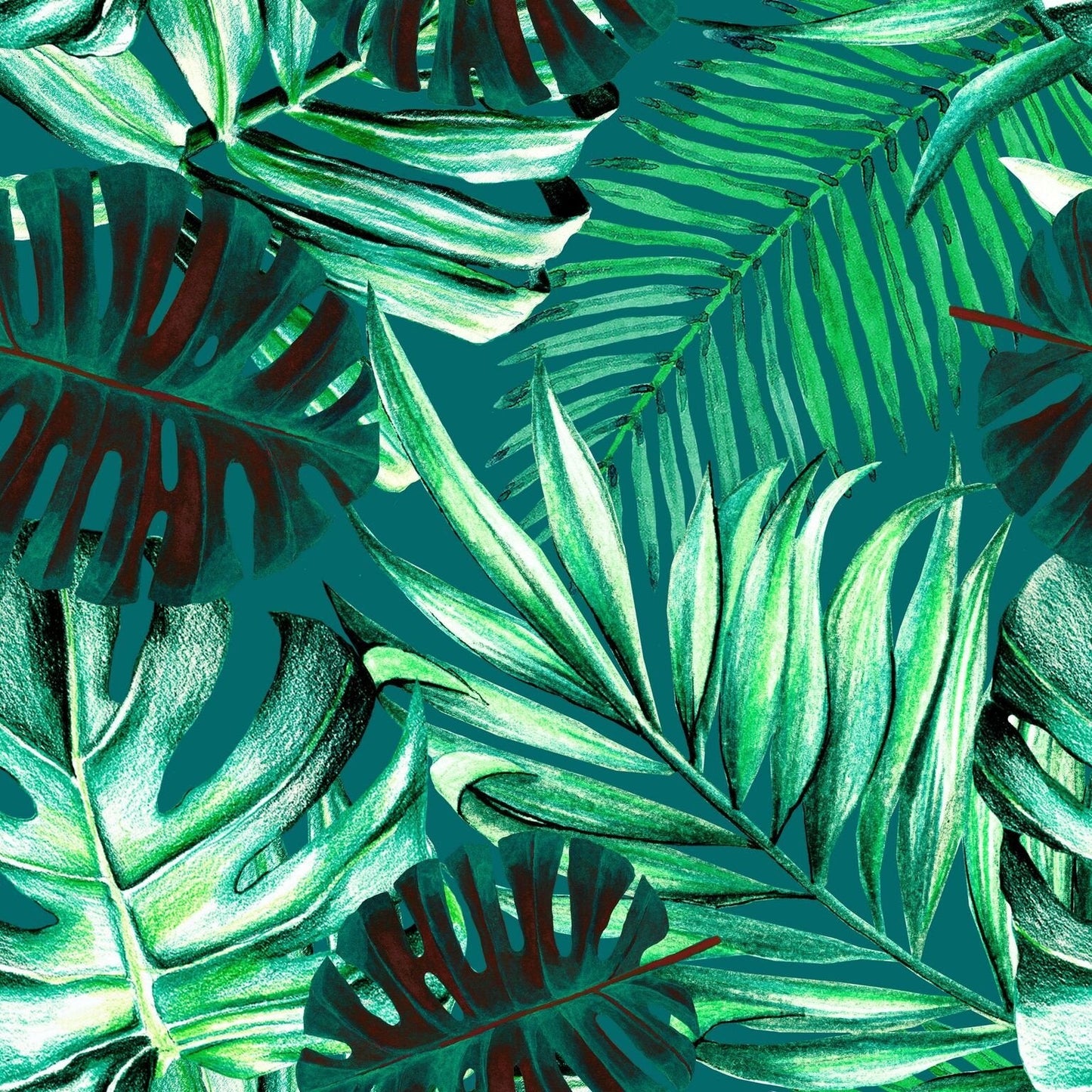 Rainforest Wallpaper