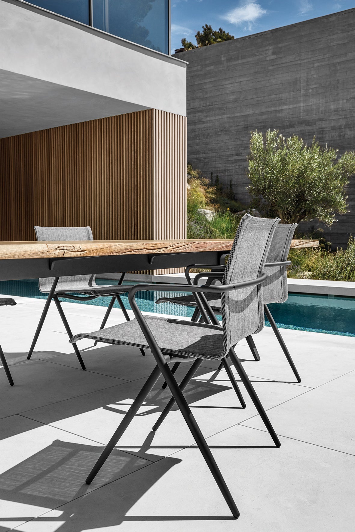 Raw Dining Table