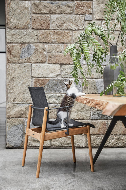 Raw Dining Table