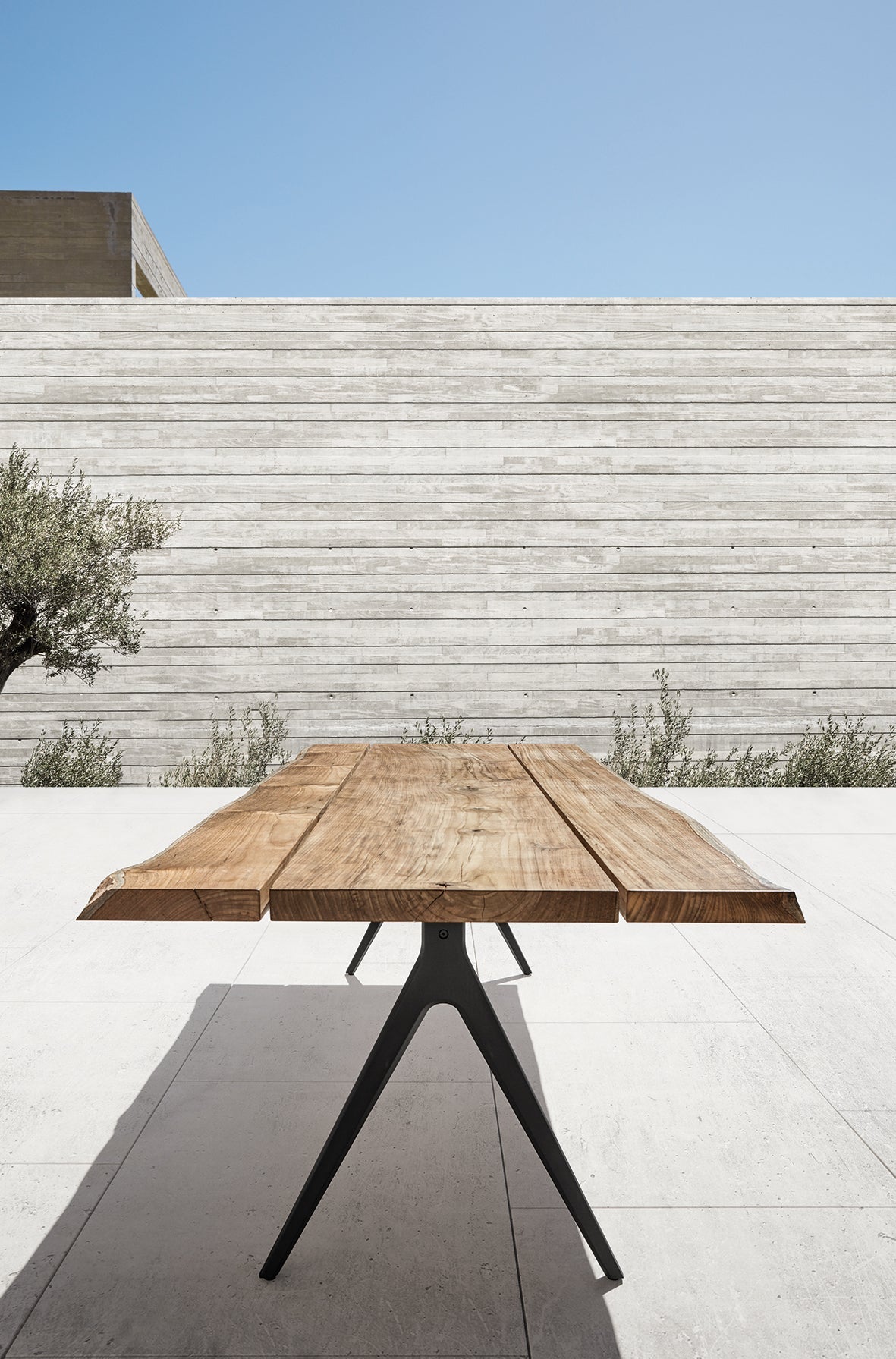 Raw Dining Table