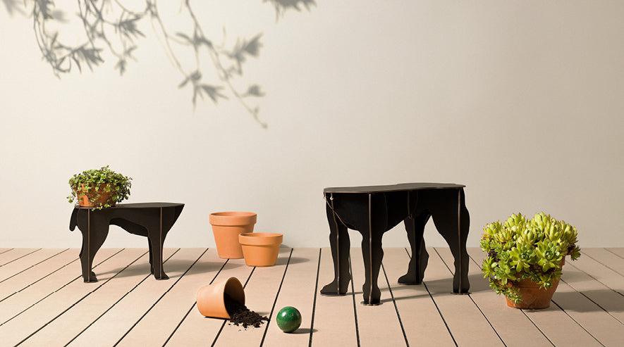 Rex Low Stool