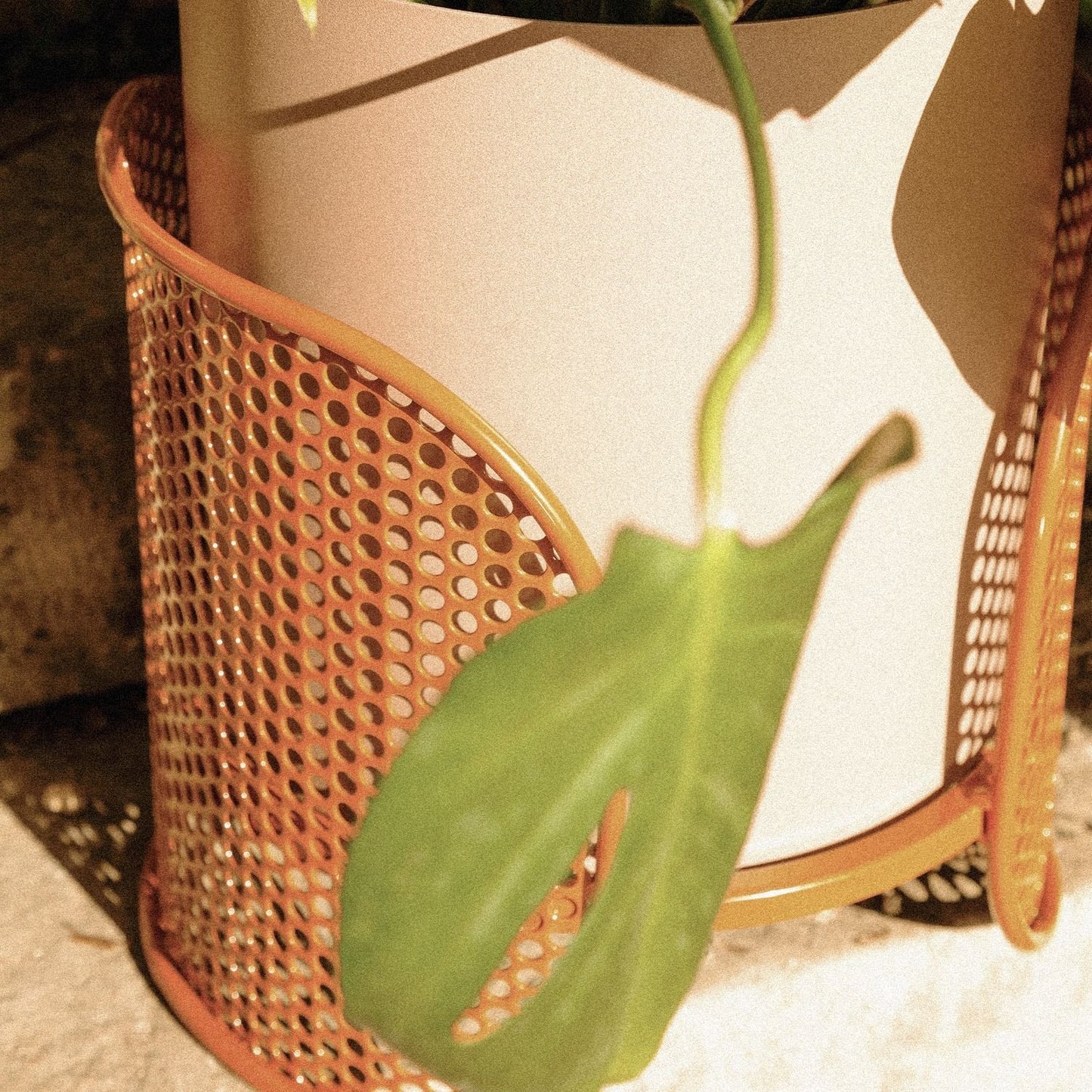 Riviera Vase