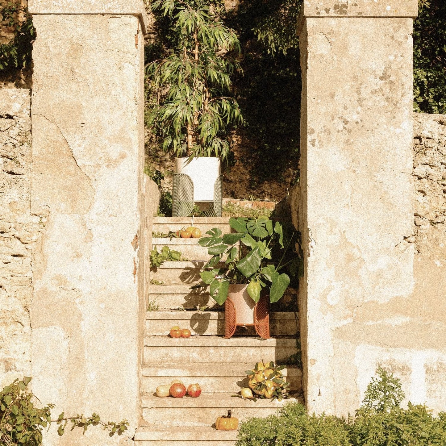 Riviera Vase