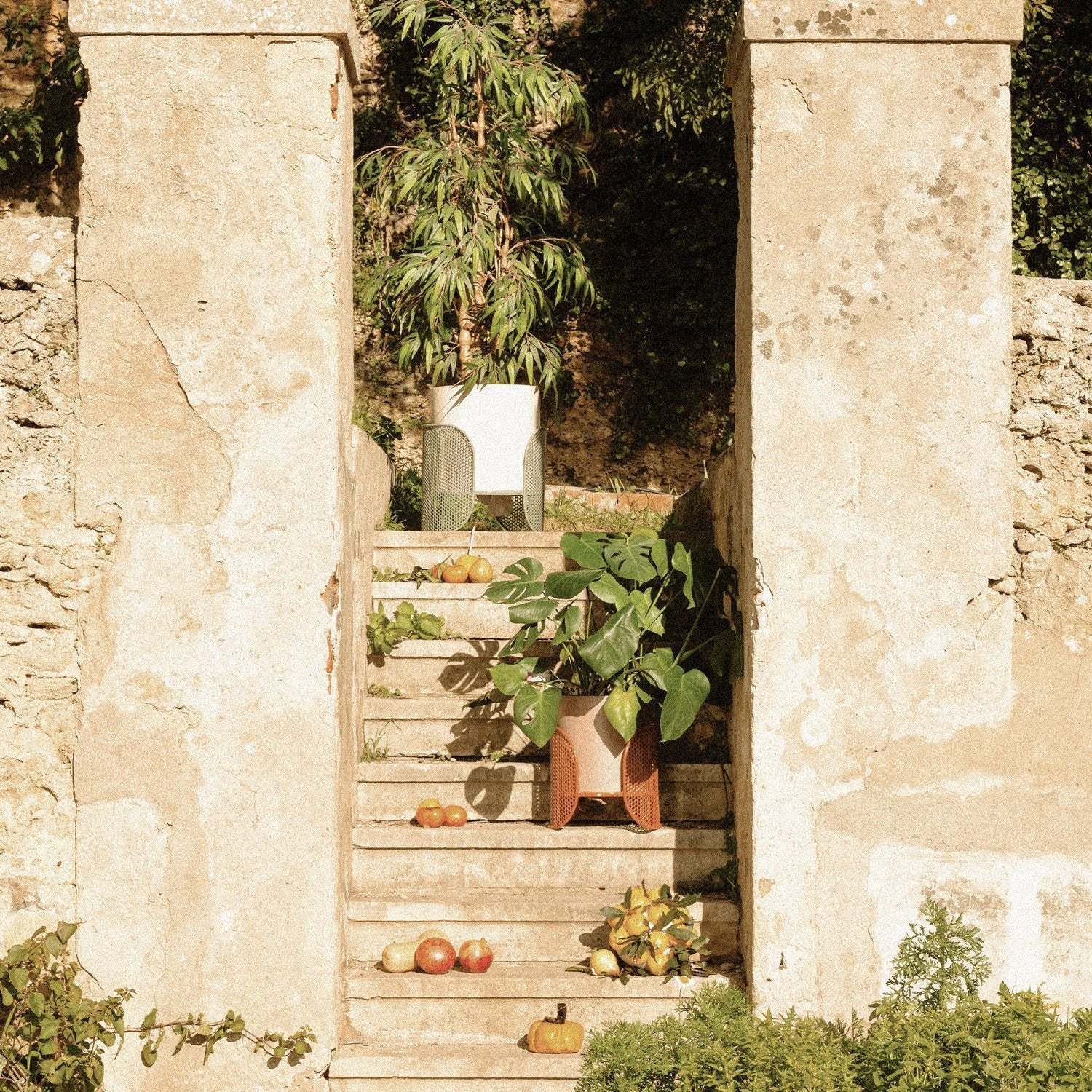 Riviera Vase