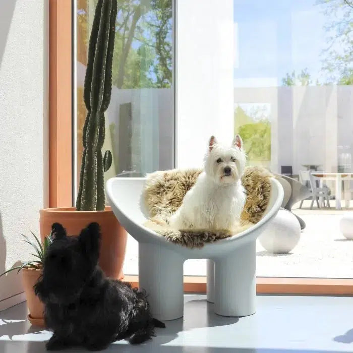 Roly Poly Armchair-Contract Furniture Store for hospitality, leisure & commercial projects