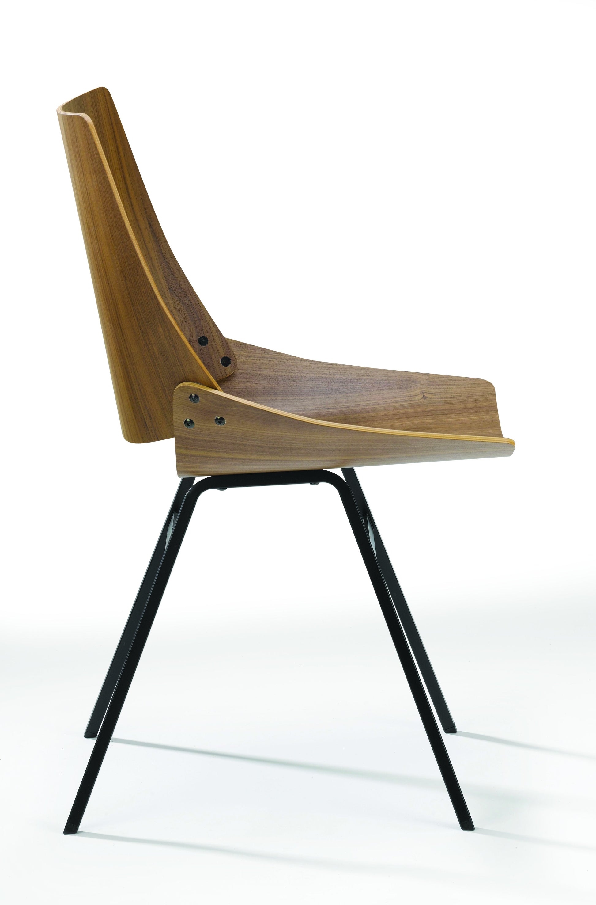 Shell Chair