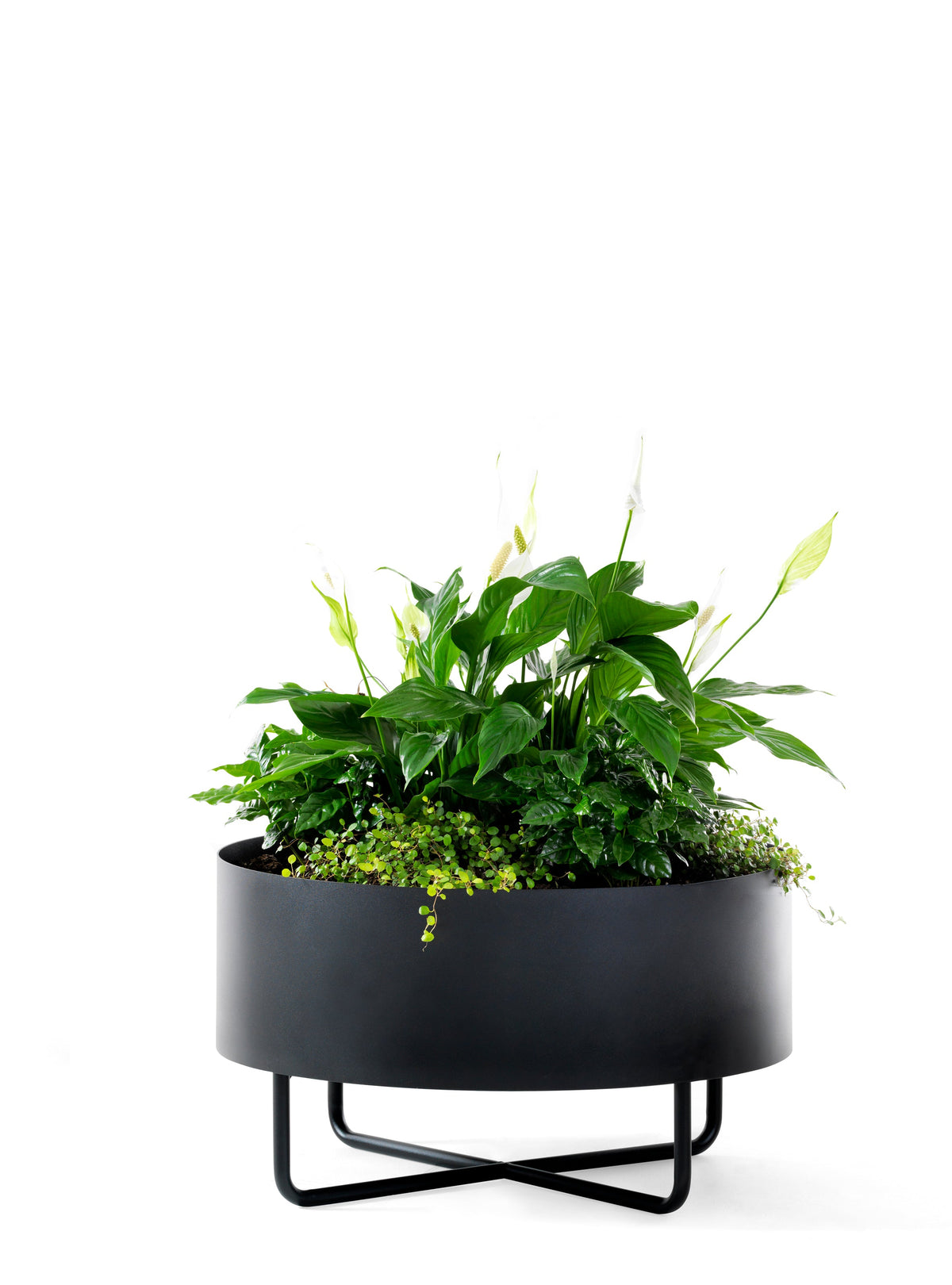 Shima Garden Planter-Johanson Design-Contract Furniture Store