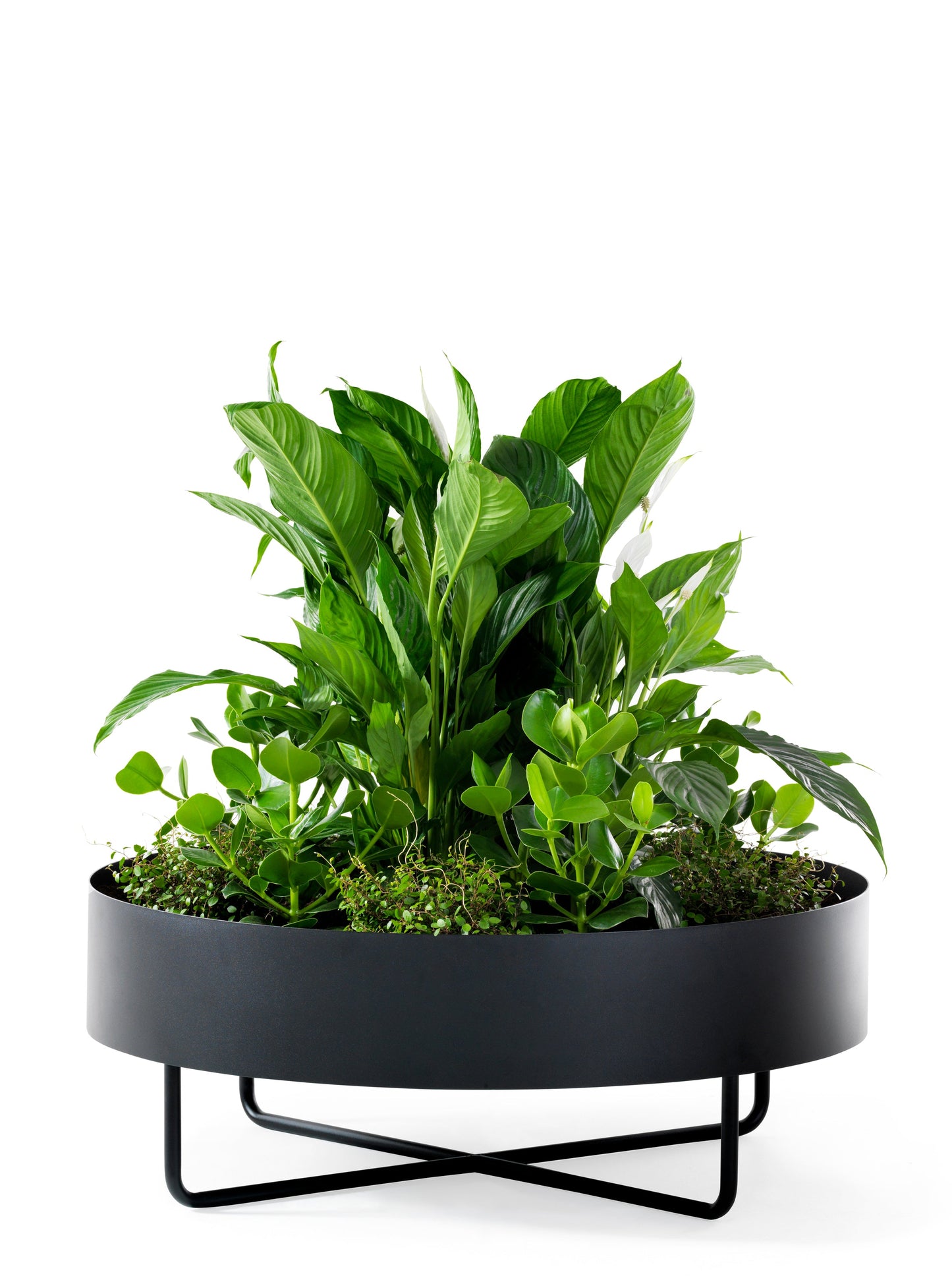 Shima Garden Planter