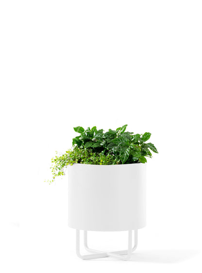 Shima Garden Planter