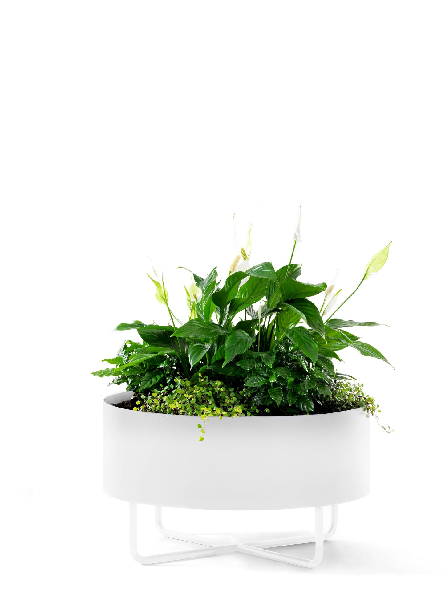 Shima Garden Planter