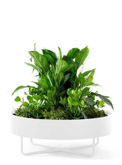 Shima Garden Planter