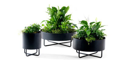 Shima Garden Planter