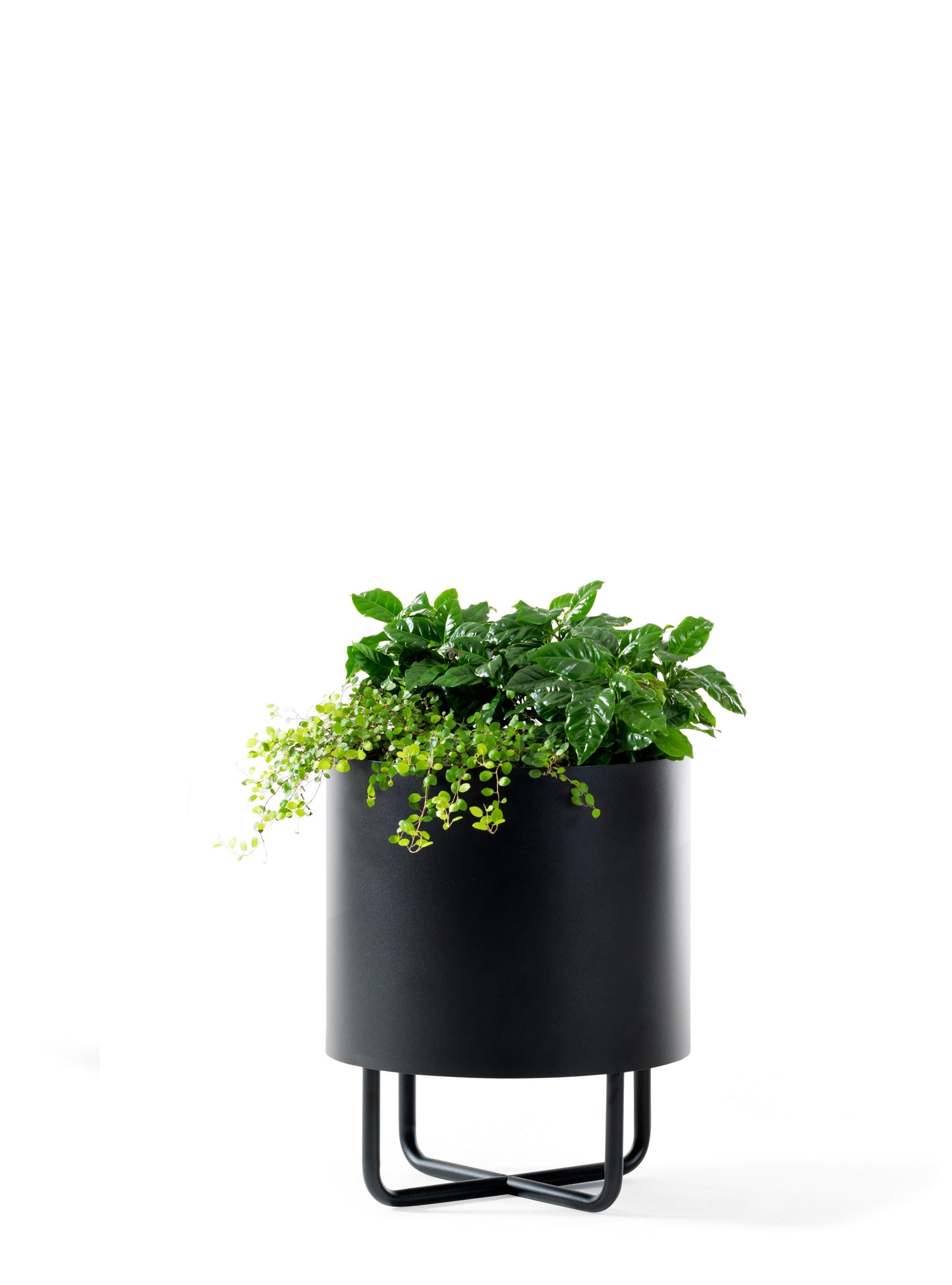 Shima Garden Planter