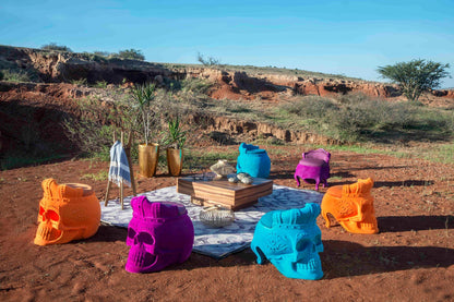 Skull Chair-Contract Furniture Store for hospitality, leisure & commercial projects