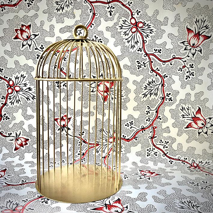 Small Display Cages