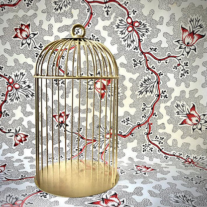 Small Display Cages