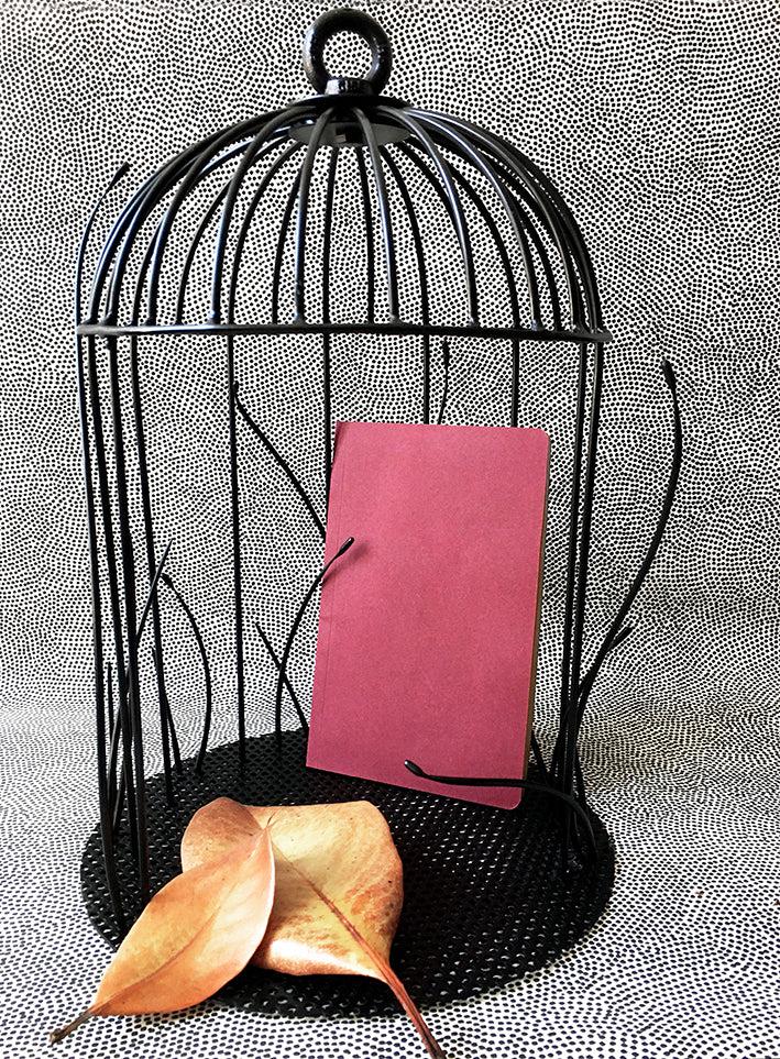 Small Display Cages