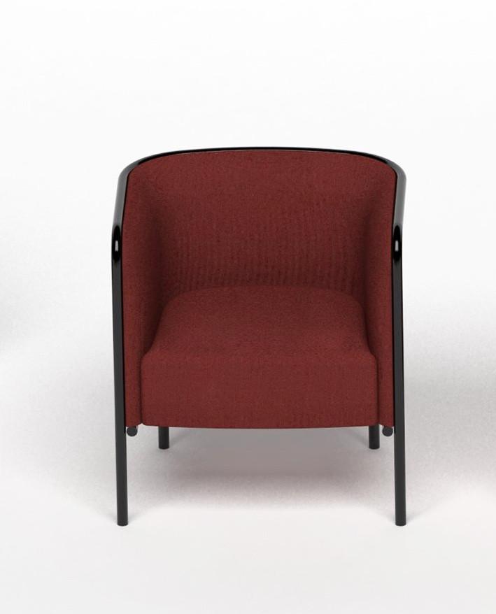 Small Place Lounge Chair
