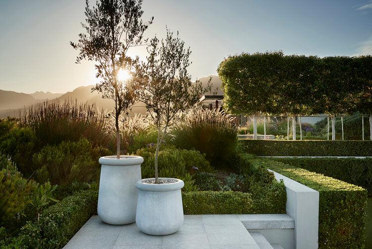 Soma Stone Planter