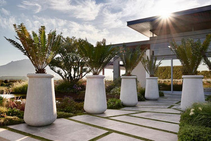 Soma Stone Planter