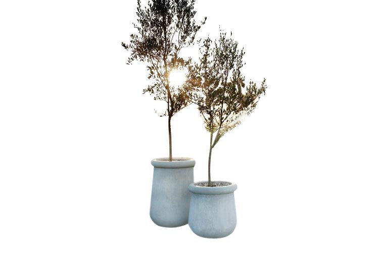 Soma Stone Planter