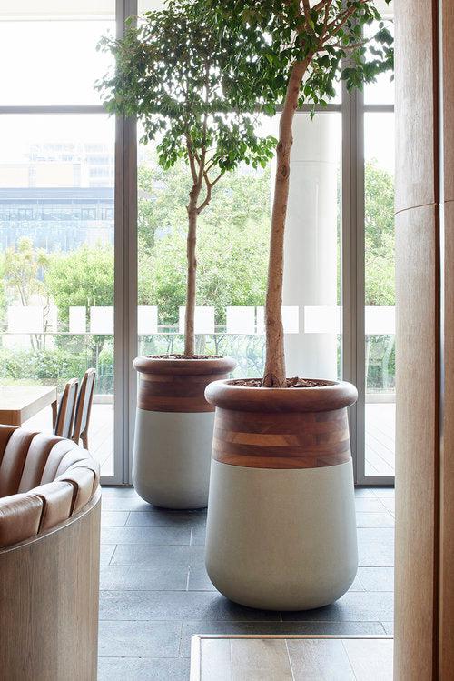 Soma Wood Planter