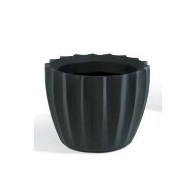 Star Pot
