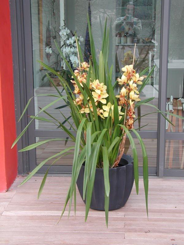 Star Pot