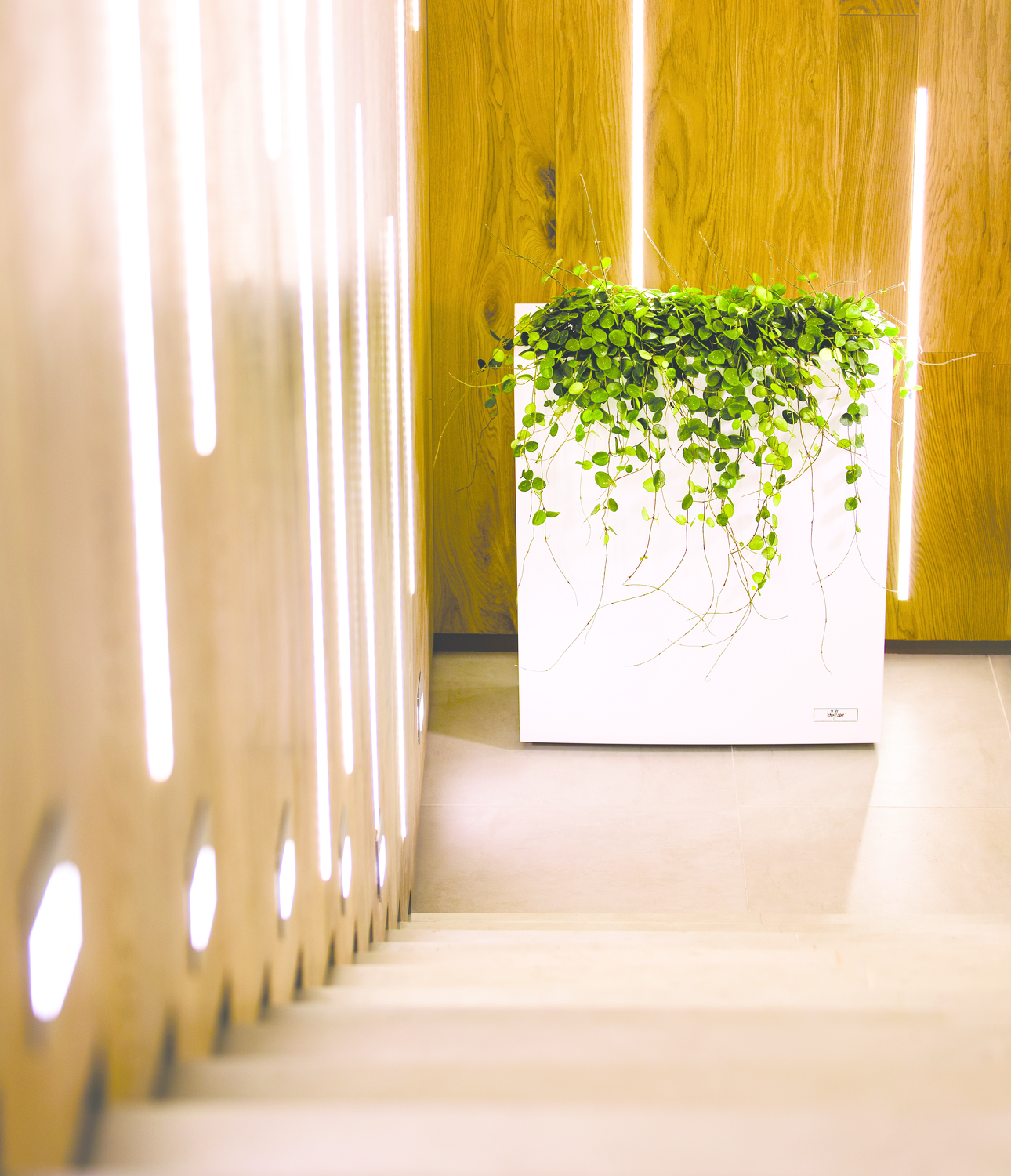 Steel Plus Hydroplanter