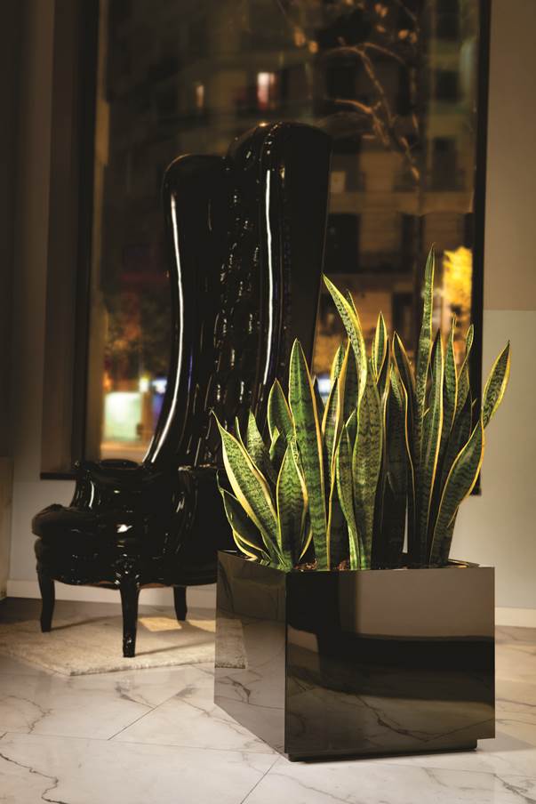 Steel Plus Hydroplanter